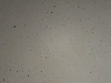 frescolori stone